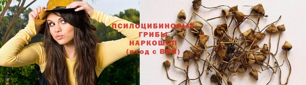 a pvp Видное
