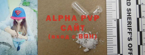индика Верхний Тагил
