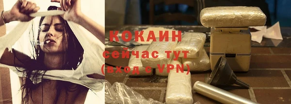 индика Верхний Тагил