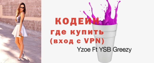 индика Верхний Тагил