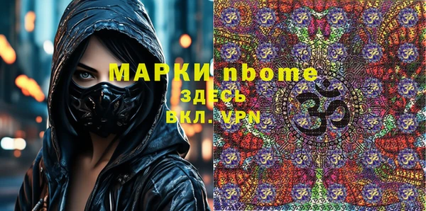 индика Верхний Тагил