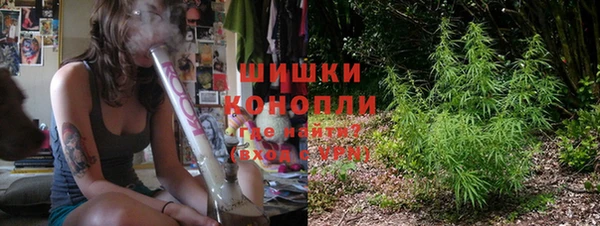 ECSTASY Ветлуга
