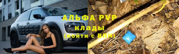 Альфа ПВП Богородицк