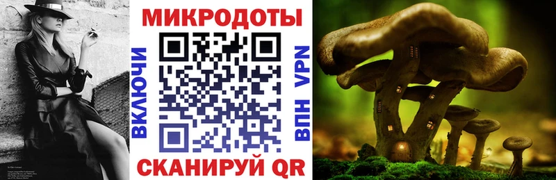 Галлюциногенные грибы прущие грибы  Горняк 